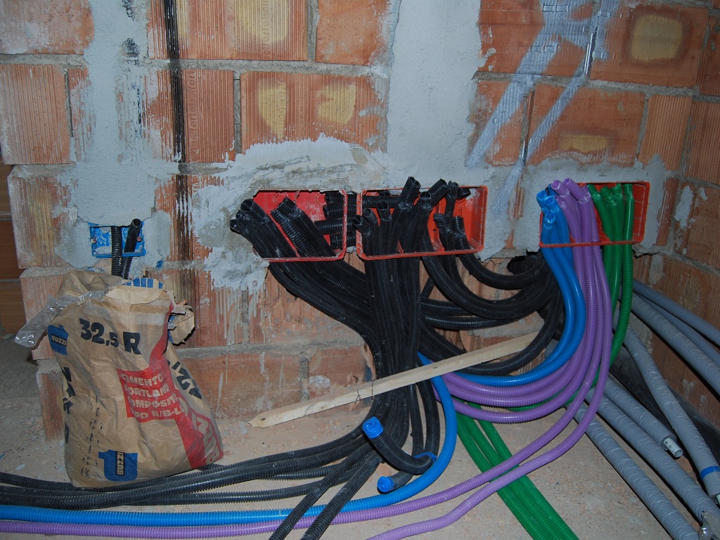 DSC_0560
